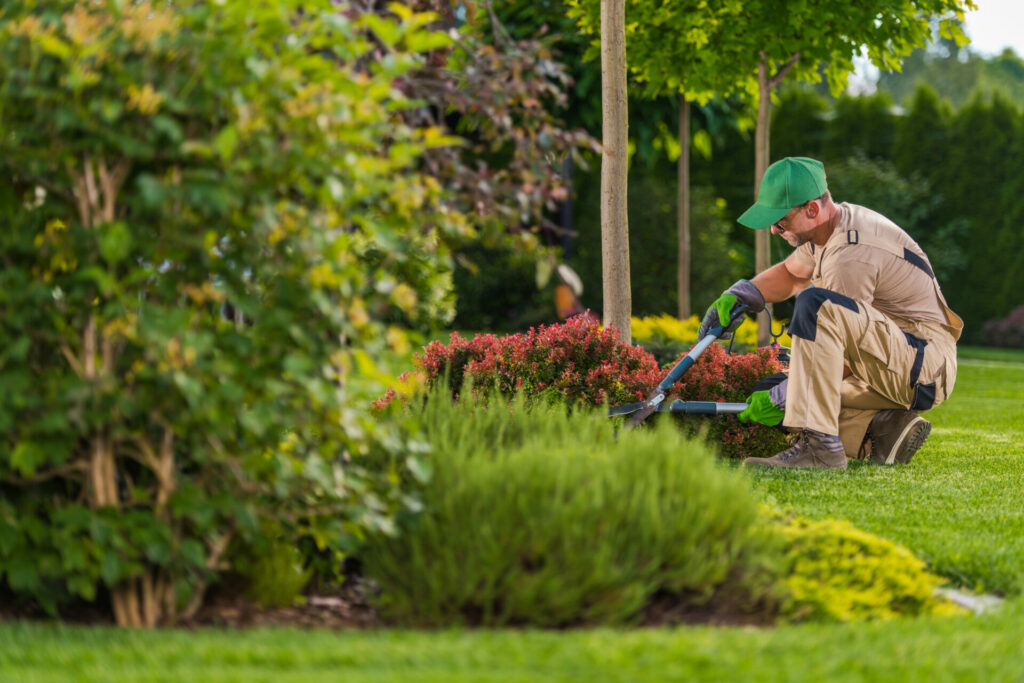 Garden Home Care Mildura