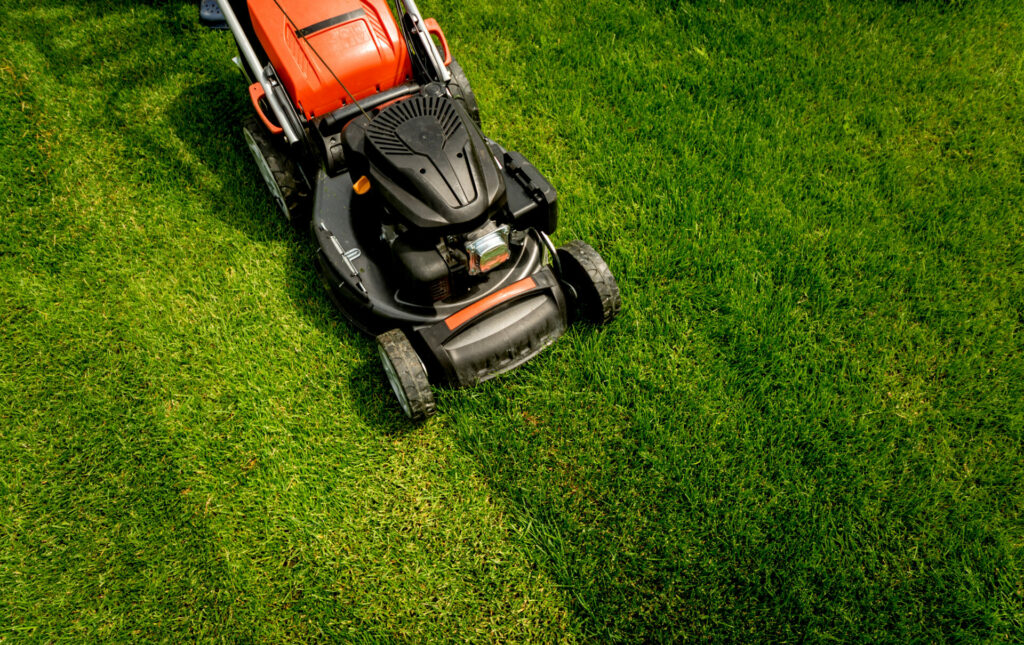 Garden Mowing Care